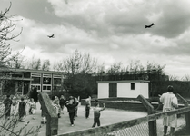 OVI-00001168 Bevrijdingsfeest 1995. Vliegtuigen boven schoolplein met opgewonden kleuters. Ter herinnering voedsel ...